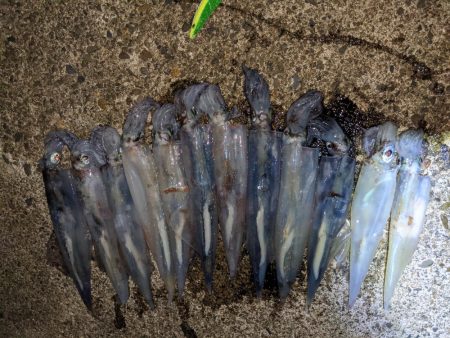 強風の中、なんとかツ抜け