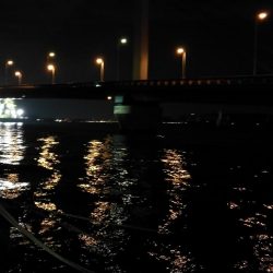 南港へち釣行 （2020/02/06 やっぱり寒い～南港ヘチ釣り　キビレチヌ（43.5cm）ガシラ 釣果有り）