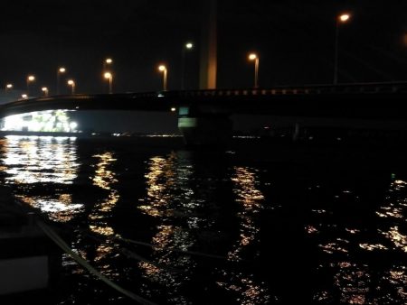 南港へち釣行 （2020/02/06 やっぱり寒い～南港ヘチ釣り　キビレチヌ（43.5cm）ガシラ 釣果有り）