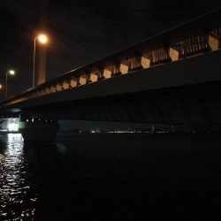 南港へち釣行 (2020/02/06 かなり寒い中の南港ヘチ釣り 真チヌ(49cm!)ガシラ 釣果有り)