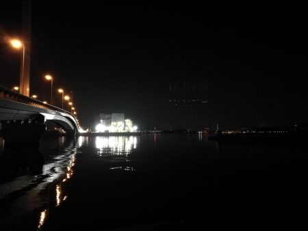 南港へち釣行 （2020/02/11 南港ヘチ釣り　キビレチヌ（45cm）ガシラ 釣果有り）