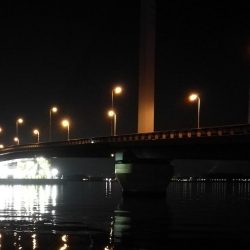 南港へち釣行 (2020/02/16 南港ヘチ釣り キビレチヌ(39cm)ガシラ 釣果有り)