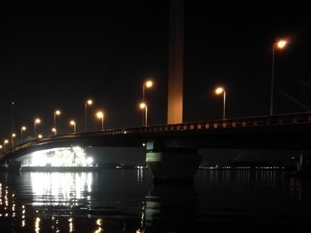 南港へち釣行 (2020/02/16 南港ヘチ釣り キビレチヌ(39cm)ガシラ 釣果有り)