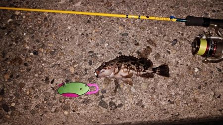 レアタケノコゲットだぜ