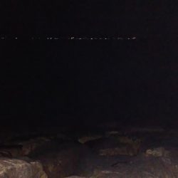 ベタ凪はしんどい