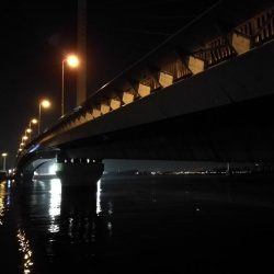 南港へち釣行 （2020/02/24 南港ヘチ釣り　キビレチヌ（31cm）ガシラ 釣果有り）