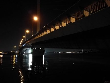 南港へち釣行 （2020/02/24 南港ヘチ釣り　キビレチヌ（31cm）ガシラ 釣果有り）