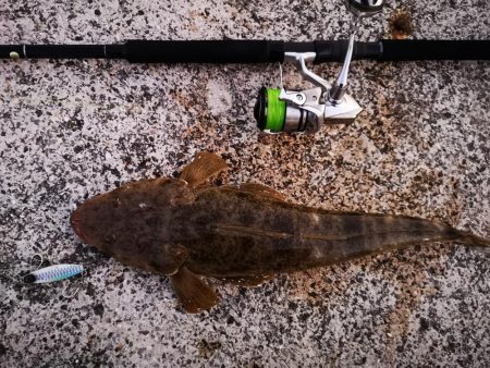 久しぶりにナイスサイズ釣れました