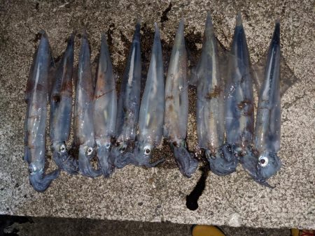 渋い中ポツポツと