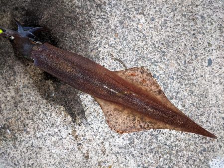 混雑の中小堤防で