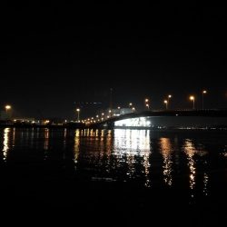 南港へち釣行 （2020/02/29 うるう年の南港ヘチ釣り 歳無し！真チヌ52.5cm　ガシラ 釣果有り）