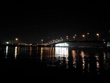 南港へち釣行 （2020/02/29 うるう年の南港ヘチ釣り 歳無し！真チヌ52.5cm　ガシラ 釣果有り）