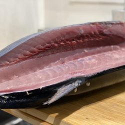 ビンチョウマグロギジング