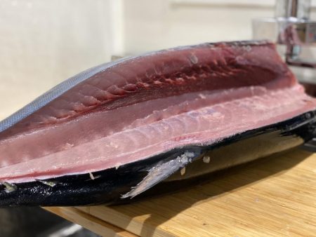 ビンチョウマグロギジング