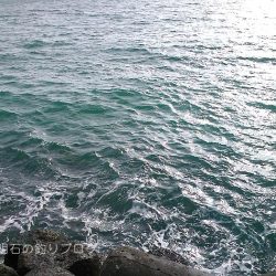 乗っ込みの気配