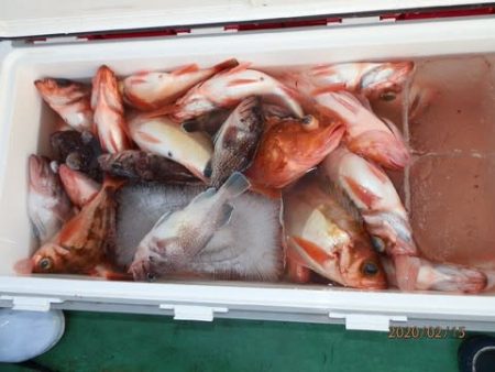 第二むつ漁丸 釣果