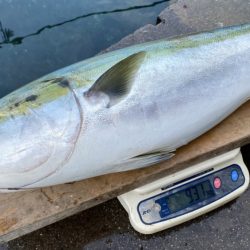 まるいち丸 ZERO-1 釣果