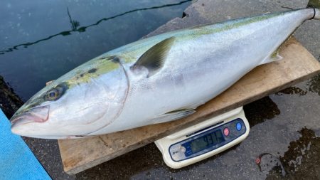 まるいち丸 ZERO-1 釣果