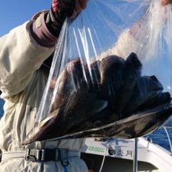 遊漁船 ニライカナイ 釣果