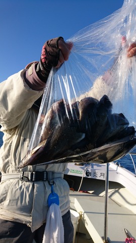 遊漁船 ニライカナイ 釣果