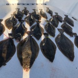 Magic(マジック) 釣果