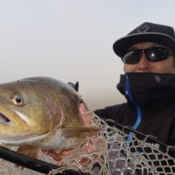 フィッシングレイクたかみや 釣果