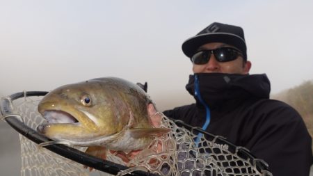 フィッシングレイクたかみや 釣果