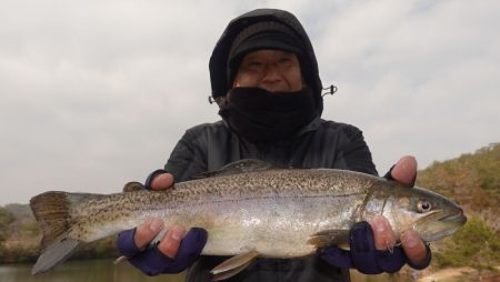 フィッシングレイクたかみや 釣果