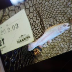 フィッシングレイクたかみや 釣果