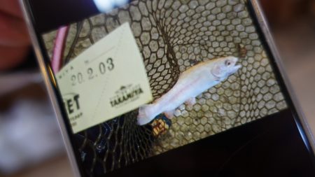 フィッシングレイクたかみや 釣果