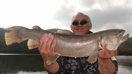 フィッシングレイクたかみや 釣果