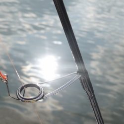 フィッシングレイクたかみや 釣果