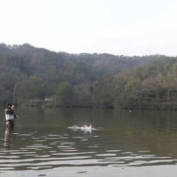 フィッシングレイクたかみや 釣果