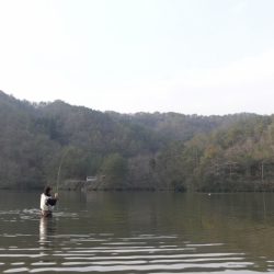 フィッシングレイクたかみや 釣果