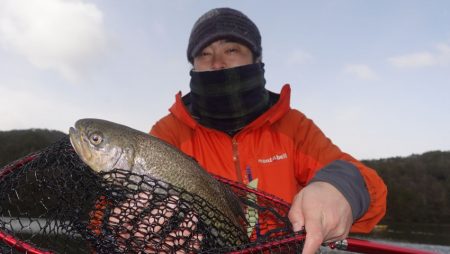 フィッシングレイクたかみや 釣果