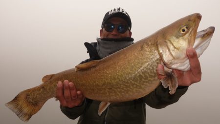 フィッシングレイクたかみや 釣果