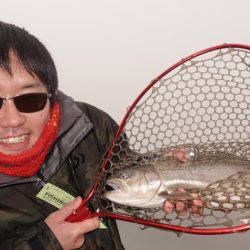 フィッシングレイクたかみや 釣果