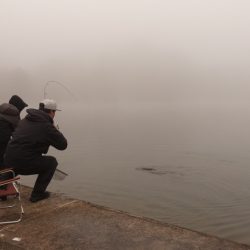 フィッシングレイクたかみや 釣果