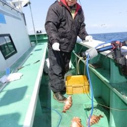 第二むつ漁丸 釣果