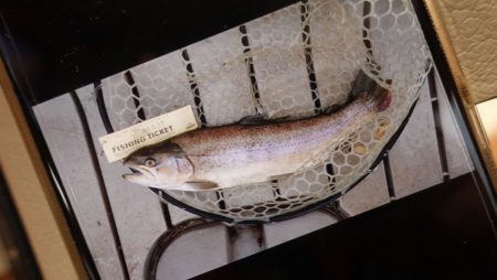 フィッシングレイクたかみや 釣果