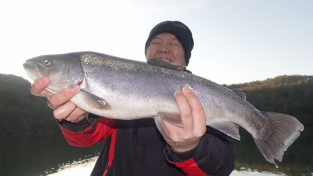 フィッシングレイクたかみや 釣果