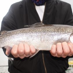 フィッシングレイクたかみや 釣果