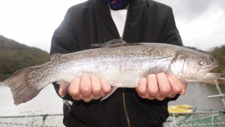 フィッシングレイクたかみや 釣果