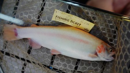 フィッシングレイクたかみや 釣果