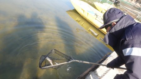 フィッシングレイクたかみや 釣果