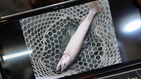 フィッシングレイクたかみや 釣果