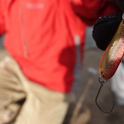 フィッシングレイクたかみや 釣果