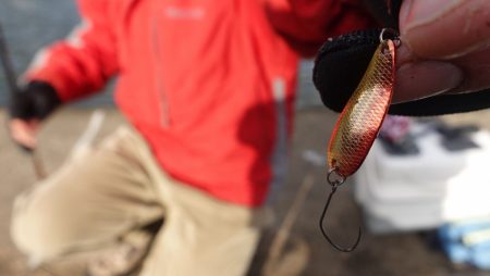 フィッシングレイクたかみや 釣果