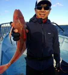 東京湾探釣隊ぼっち 釣果