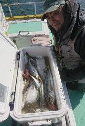 ＫＯＮＡＹＡｰＭＡＲＵ（こなや丸） 釣果